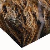 Highland Cow Rustic Wall Art - Cozy Farmhouse Nature Decor for Homes