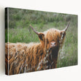 Highland Cow Rustic Wall Art - Cozy Farmhouse Nature Decor for Homes