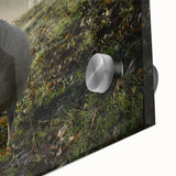 Misty Morning Sheep Rustic Wall Art - Farmhouse Country Decor