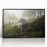 Misty Morning Sheep Rustic Wall Art - Farmhouse Country Decor