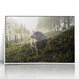 Misty Morning Sheep Rustic Wall Art - Farmhouse Country Decor