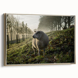 Misty Morning Sheep Rustic Wall Art - Farmhouse Country Decor