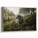 Misty Morning Sheep Rustic Wall Art - Farmhouse Country Decor