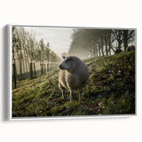 Misty Morning Sheep Rustic Wall Art - Farmhouse Country Decor