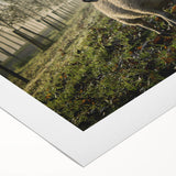 Misty Morning Sheep Rustic Wall Art - Farmhouse Country Decor