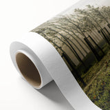 Misty Morning Sheep Rustic Wall Art - Farmhouse Country Decor