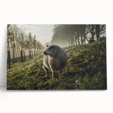 Misty Morning Sheep Rustic Wall Art - Farmhouse Country Decor