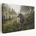 Misty Morning Sheep Rustic Wall Art - Farmhouse Country Decor