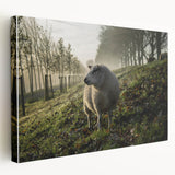 Misty Morning Sheep Rustic Wall Art - Farmhouse Country Decor