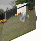 Rustic Barn and Cattle Wall Art - Farmhouse Country Decor for Homes"