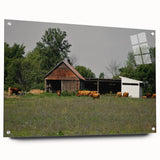 Rustic Barn and Cattle Wall Art - Farmhouse Country Decor for Homes"