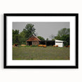 Rustic Barn and Cattle Wall Art - Farmhouse Country Decor for Homes"
