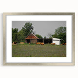 Rustic Barn and Cattle Wall Art - Farmhouse Country Decor for Homes"