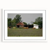 Rustic Barn and Cattle Wall Art - Farmhouse Country Decor for Homes"