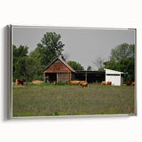 Rustic Barn and Cattle Wall Art - Farmhouse Country Decor for Homes"