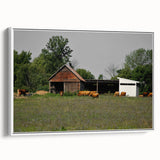 Rustic Barn and Cattle Wall Art - Farmhouse Country Decor for Homes"