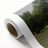 Rustic Barn and Cattle Wall Art - Farmhouse Country Decor for Homes"