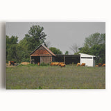 Rustic Barn and Cattle Wall Art - Farmhouse Country Decor for Homes"