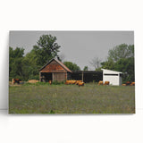 Rustic Barn and Cattle Wall Art - Farmhouse Country Decor for Homes"