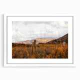 Rustic Fence in Golden Field Wall Art - Farmhouse Country Landscape Decor