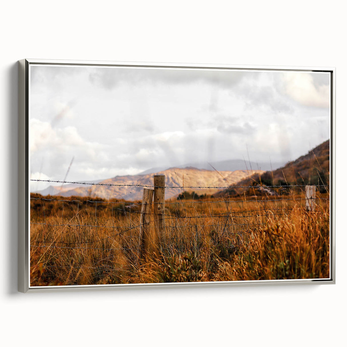 Rustic Fence in Golden Field Wall Art - Farmhouse Country Landscape Decor