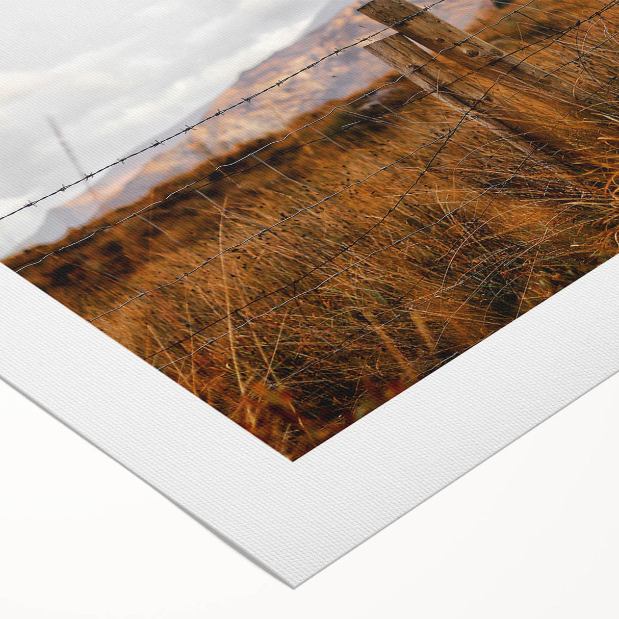 Rustic Fence in Golden Field Wall Art - Farmhouse Country Landscape Decor