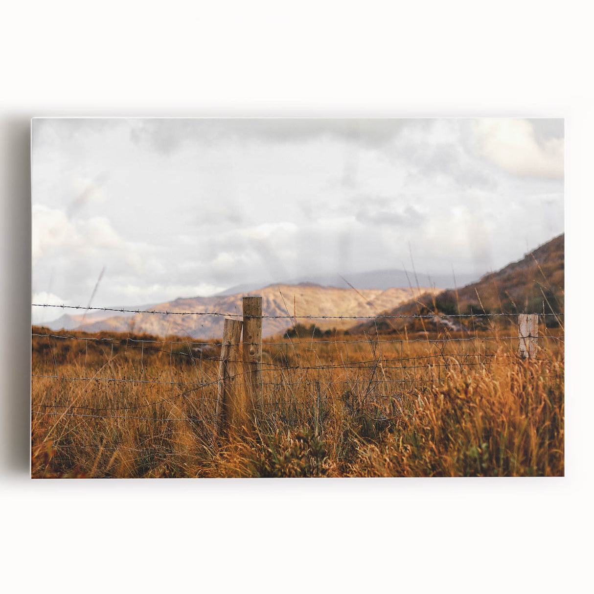 Rustic Fence in Golden Field Wall Art - Farmhouse Country Landscape Decor