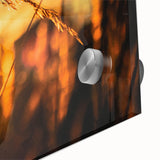 Sunset Through Grass Rustic Wall Art - Warm Farmhouse Nature Decor