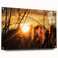 Sunset Through Grass Rustic Wall Art - Warm Farmhouse Nature Decor