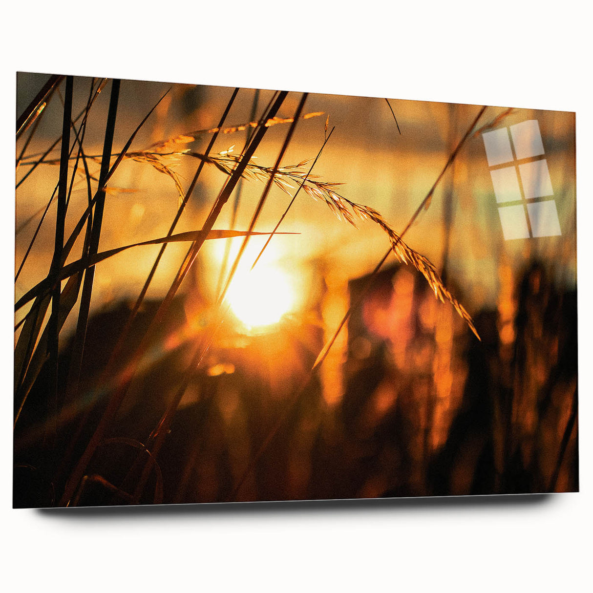 Sunset Through Grass Rustic Wall Art - Warm Farmhouse Nature Decor