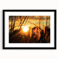 Sunset Through Grass Rustic Wall Art - Warm Farmhouse Nature Decor