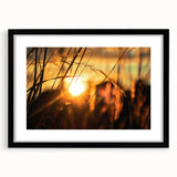 Sunset Through Grass Rustic Wall Art - Warm Farmhouse Nature Decor