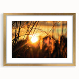 Sunset Through Grass Rustic Wall Art - Warm Farmhouse Nature Decor
