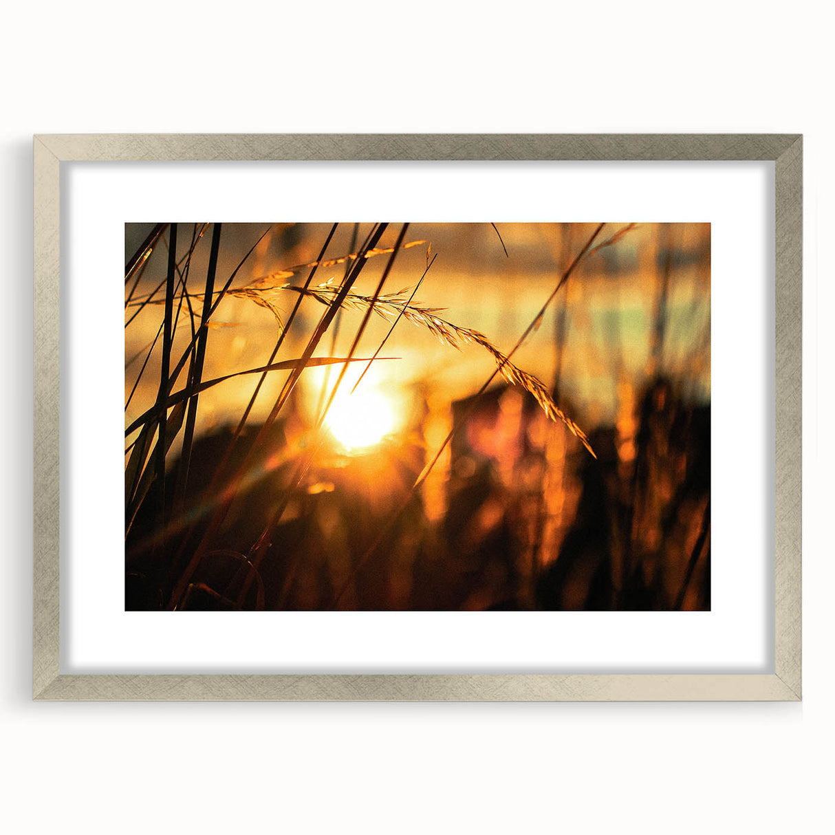 Sunset Through Grass Rustic Wall Art - Warm Farmhouse Nature Decor