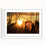 Sunset Through Grass Rustic Wall Art - Warm Farmhouse Nature Decor