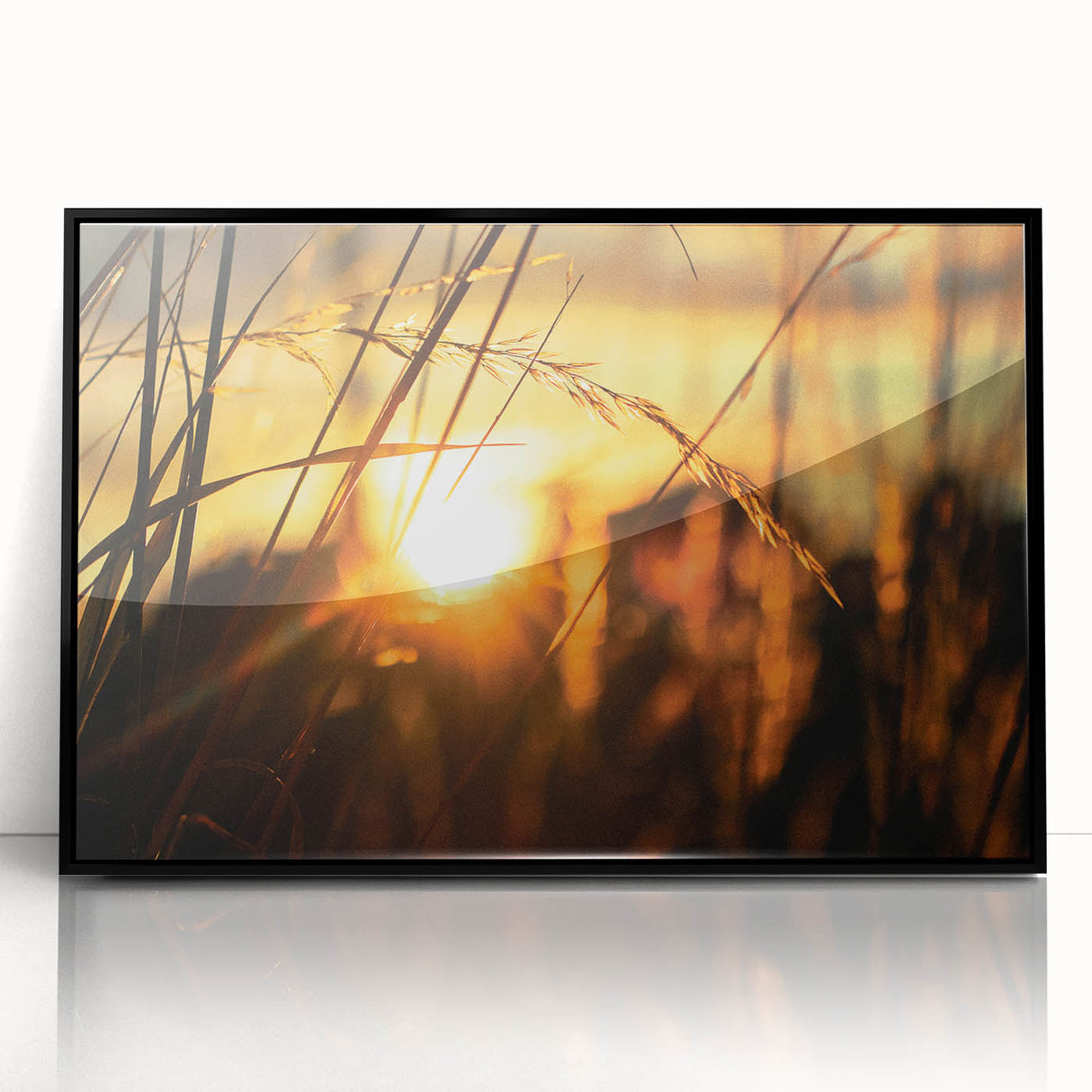 Sunset Through Grass Rustic Wall Art - Warm Farmhouse Nature Decor