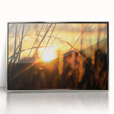 Sunset Through Grass Rustic Wall Art - Warm Farmhouse Nature Decor