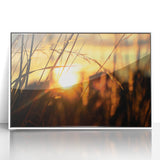 Sunset Through Grass Rustic Wall Art - Warm Farmhouse Nature Decor