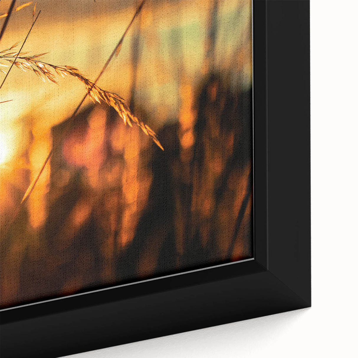 Sunset Through Grass Rustic Wall Art - Warm Farmhouse Nature Decor