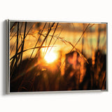 Sunset Through Grass Rustic Wall Art - Warm Farmhouse Nature Decor