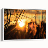 Sunset Through Grass Rustic Wall Art - Warm Farmhouse Nature Decor