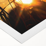 Sunset Through Grass Rustic Wall Art - Warm Farmhouse Nature Decor