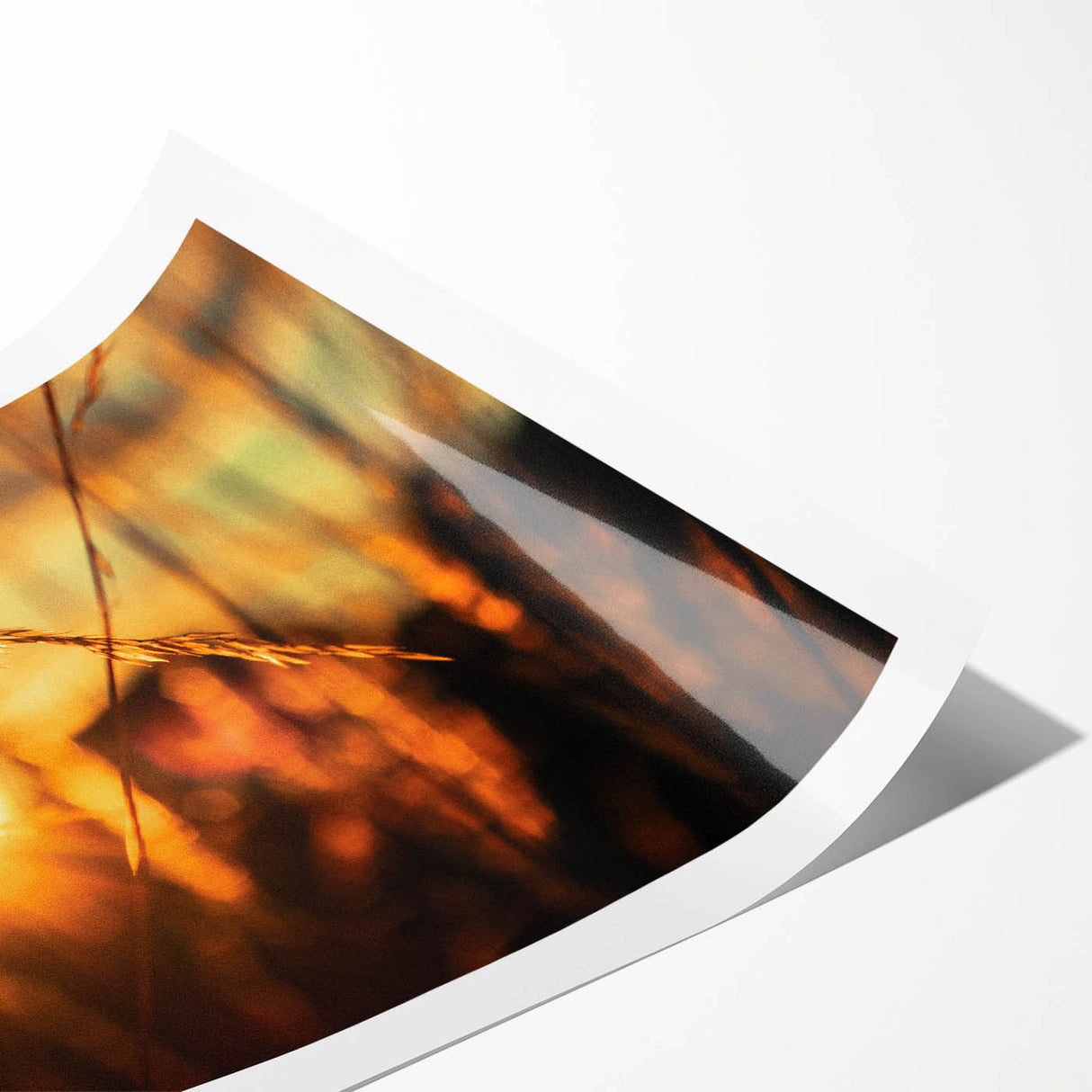 Sunset Through Grass Rustic Wall Art - Warm Farmhouse Nature Decor