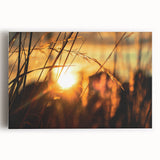 Sunset Through Grass Rustic Wall Art - Warm Farmhouse Nature Decor