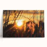 Sunset Through Grass Rustic Wall Art - Warm Farmhouse Nature Decor