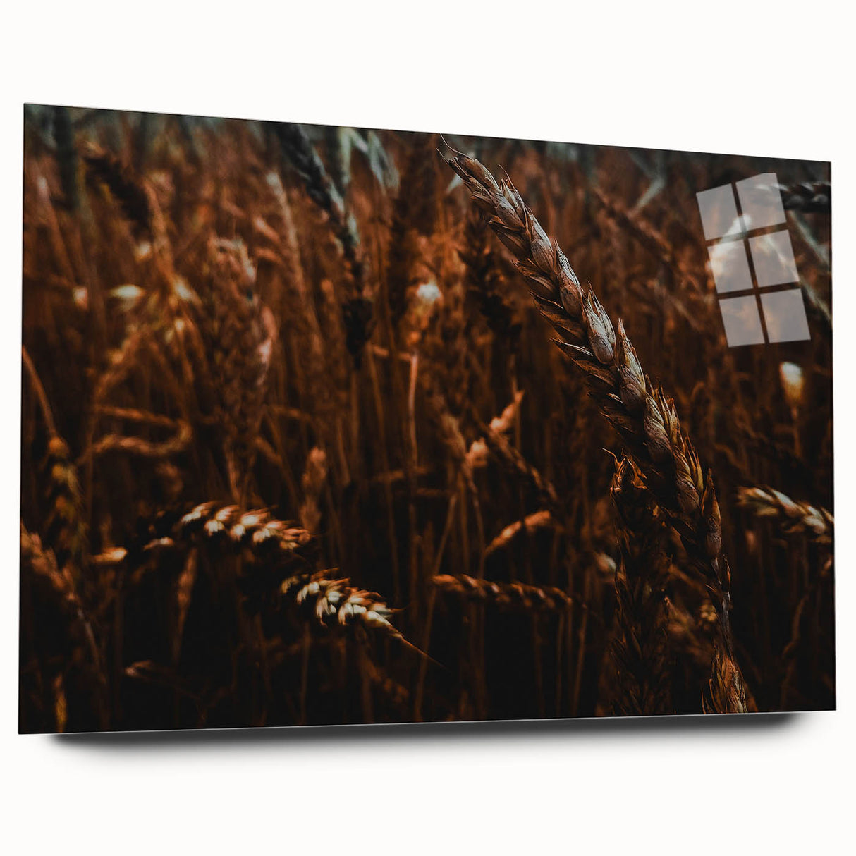 Moody Wheat Field Rustic Wall Art - Farmhouse Country Decor