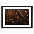 Moody Wheat Field Rustic Wall Art - Farmhouse Country Decor