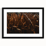 Moody Wheat Field Rustic Wall Art - Farmhouse Country Decor