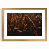 Moody Wheat Field Rustic Wall Art - Farmhouse Country Decor