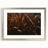 Moody Wheat Field Rustic Wall Art - Farmhouse Country Decor